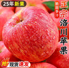 洛川蘋(píng)果陜西延安特產(chǎn)紅富士時(shí)令蘋(píng)果水果禮盒送蘋(píng)果生鮮新鮮脆甜整箱批發(fā) 18個(gè)80mm大果優(yōu)選 彩箱裝【推薦】 曬單實(shí)拍圖