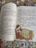 中小學(xué)生閱讀指導書(shū)系 大林和小林 小學(xué) 3-6年級（童話(huà)名家經(jīng)典） 新舊封面隨機發(fā)貨 曬單實(shí)拍圖