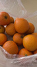 粵迎四川愛(ài)媛38號果凍橙柑橘新鮮采摘橙子水果柑橘當季應季橙子手剝橙 5斤優(yōu)選裝【香甜爆汁】?jì)?.5斤 曬單實(shí)拍圖