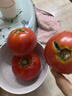 新鮮沙瓤大番茄生吃西紅柿減肥早餐即食新鮮蔬菜生鮮單果＞100g 暢享裝 3斤 凈重 曬單實(shí)拍圖