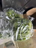 千牛優(yōu)福新鮮生菜組合4斤球生菜紅葉等6種沙拉蔬菜輕食蔬菜包 6種蔬菜共4斤【無(wú)醬】 曬單實(shí)拍圖