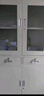 潤虎文件柜辦公柜鋼制鐵皮柜資料柜檔案柜儲物柜員工柜大器械文件柜 曬單實拍圖