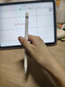 蘋(píng)果Apple Pencil 一代/二代 蘋(píng)果手寫(xiě)筆二手蘋(píng)果手寫(xiě)筆/電容筆/觸控筆二手平板電腦配件 蘋(píng)果Pencil 一代手寫(xiě)筆+備用筆尖【99新】 曬單實(shí)拍圖