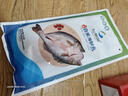 仙泉湖三去白蕉海鱸魚(yú)1斤/條凈膛冷凍刺少肉厚珠海特產(chǎn)500g生鮮食材 曬單實(shí)拍圖