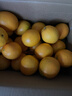 京覓 江西贛南臍橙4.5斤凈重橙子單果160g起 紐荷爾甜橙水果源頭直發(fā) 曬單實(shí)拍圖