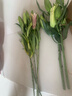 禾之潤香水百合花鮮花云南昆明基地直發(fā)批鮮切家用水養插花 隨機3色混搭20朵 關(guān)注店鋪送進(jìn)口營(yíng)養液 曬單實(shí)拍圖