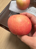 京鮮生 煙臺紅富士蘋(píng)果 凈重5斤  單果190g起 水果禮盒 曬單實(shí)拍圖