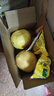 福建平和老樹(shù)紅柚 新鮮現摘 皮薄肉厚多汁 蜜柚柚子 1-1.5斤一粒 曬單實(shí)拍圖