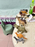 babycare&bctoys動(dòng)物玩具動(dòng)物桶熊貓老虎獅子長(cháng)頸鹿模型玩具 曬單實(shí)拍圖