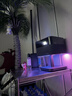 愛(ài)普生（EPSON）EF-52 家用投影儀 3x0.62''大尺寸芯片智能版（4K超高清 BOSE深度定制 全芯升級 ）國家補貼 曬單實(shí)拍圖