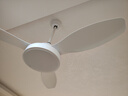美的（Midea）風(fēng)扇燈餐廳吊扇燈led臥室48寸開(kāi)葉扇三葉扇熟睡風(fēng)包安裝 曬單實(shí)拍圖