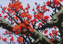老街緣梅開(kāi)五福梅花2025年新款自己手工十字繡線(xiàn)繡客廳紫氣東來(lái)梅蘭竹菊 梅開(kāi)五福 【中格-3股棉線(xiàn)繡】160*80厘米 曬單實(shí)拍圖