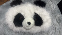 高端水貂絨國寶大熊貓熱水袋充電式暖水袋暖手寶暖寶寶送女生禮物 米白國寶大熊貓+熱水袋+充電器 曬單實(shí)拍圖
