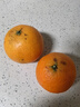 粵迎四川愛(ài)媛38號果凍橙柑橘手剝橙新鮮橙子水果應季時(shí)令桔橘子香甜多 5斤精選裝【香甜爆汁】?jì)?.5斤 曬單實(shí)拍圖