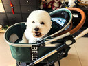 bello   W1 中小型寵物推車(chē)犬外出行狗車(chē)包分離狗狗折疊鋁合金狗車(chē)貓車(chē) W1綠色格紋 【可分離】送雨罩 建議15斤內寵物使用 寵物推車(chē) 曬單實(shí)拍圖