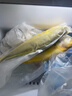 鮮喜利舟山大黃魚(yú)禮盒深海黃花魚(yú)鮮活冷凍生鮮海鮮年貨禮包新鮮水產(chǎn)商用 2條無(wú)禮盒（單條凈重1.4斤） 曬單實(shí)拍圖