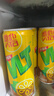 維他奶維他檸檬味茶飲料310ml*24罐 罐裝檸檬茶 家庭聚會(huì )分享裝 曬單實(shí)拍圖