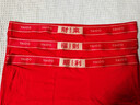 雅鹿加肥加大碼本命年男士?jì)妊澕兠薮蠹t色男生款平角四角短褲衩屬馬年 曬單實(shí)拍圖