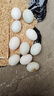 農家散養鴨蛋新鮮生鴨蛋土鴨蛋綠殼青皮鴨蛋營(yíng)養豐富 10枚 60g-70g 曬單實(shí)拍圖