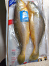 三都港 三去大黃魚(yú)凈重700g/2條裝 寧德黃花魚(yú) 生鮮 魚(yú)類(lèi) 曬單實(shí)拍圖