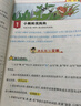 【新華正版】2025秋小學(xué)教材全解一二三四五六年級上冊下冊語(yǔ)文數學(xué)英語(yǔ)科學(xué)人教版同步課本解讀析小學(xué)課堂筆記北師蘇教薛金星 語(yǔ)文人教版 二年級上冊【2025秋】 曬單實(shí)拍圖