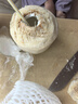 佳農 泰國進(jìn)口椰青9粒裝 單果900g+ 贈開(kāi)椰器吸管 生鮮水果禮盒 包郵 曬單實(shí)拍圖