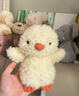 Jellycat英國jellycat卷毛小狗豬羊貓咪蛇毛絨玩偶公仔布娃娃玩具送禮 Little小黃雞【18cm】 曬單實(shí)拍圖