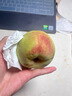 山東當季青州蜜桃新鮮脆甜可口毛桃冬桃產(chǎn)地直發(fā)-鮮集 青州蜜桃帶箱5斤 曬單實(shí)拍圖