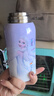 迪士尼（Disney）兒童保溫杯316不銹鋼吸管直飲水杯幼兒園小學(xué)生雙飲水壺愛(ài)莎公主 曬單實(shí)拍圖