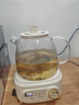 九陽(yáng)（Joyoung）凈萃全玻璃0膠水養生壺  辦公室多功能煮茶器花茶壺 燒水壺恒溫電熱水壺 24h預約保溫 1L WY107 曬單實(shí)拍圖