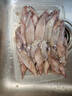 新鮮速凍筆管魚(yú) 鮮嫩海捕海兔小管魷魚(yú) 連云港產(chǎn)地直發(fā) 野生海捕筆管魚(yú)500g*1包1斤 曬單實(shí)拍圖