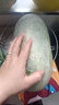 掛霜翠玉高原迷你冬瓜現摘新鮮蔬菜清新刮油減脂減肥 帶箱 4斤 曬單實(shí)拍圖