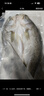 仙泉湖三去白蕉海鱸魚(yú)1斤/條凈膛冷凍刺少肉厚珠海特產(chǎn)500g生鮮食材 曬單實(shí)拍圖