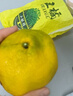 四川特級春見(jiàn)耙耙柑新鮮水果當季整箱丑八怪橘子特級?mèng)昔胃探勰曦?甄選5斤裝【凈重4.5斤】 曬單實(shí)拍圖