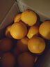 趣嘗鮮 四川愛(ài)媛38號果凍橙 凈重8斤 單枚170g起 源頭直發(fā) 一件包郵 曬單實(shí)拍圖