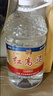 瀘州老窖 紅高粱酒 濃香型白酒 52度5L 大桶純糧泡酒自飲 節日送禮 曬單實(shí)拍圖
