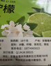 貢小主水果茶包 青桔檸檬茉莉花茶225g 凍干檸檬片冷泡水喝的花果茶 曬單實(shí)拍圖