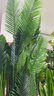 黛暢仿真綠植高端輕奢散尾葵落地盆栽假花樹(shù)室內客廳仿生植物裝飾擺件 2.0米散尾葵加密款 送白色U形盆（送椰絲/吊牌） 曬單實(shí)拍圖