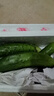 京鮮生 山東童年旱黃瓜 3斤 單果100g+ 水果小青瓜 時(shí)令輕食 源頭直發(fā) 曬單實(shí)拍圖