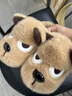 DMPD搞怪小狗棉拖鞋男士冬季新款室內居家厚底毛絨保暖卡通毛毛棉拖女 卡其【搞怪小狗】 42-43 正碼 曬單實(shí)拍圖