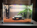 瘋狂水草（FKSC）櫻桃紅雨林砂5斤裝1.0-2.0mm魚(yú)缸造景底砂 魚(yú)缸底部沙石 魚(yú)缸底沙 曬單實(shí)拍圖