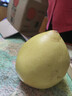 梅州紅心蜜柚子新鮮當季水果紅肉柚酸甜多汁非三紅蜜柚產(chǎn)地直發(fā) 【小果】紅柚1粒 凈重1.4斤+ 曬單實(shí)拍圖