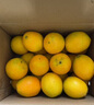 京覓江西贛南臍橙 9斤凈重橙子大果170g起紐荷爾甜橙新鮮水果源頭直發(fā) 曬單實(shí)拍圖