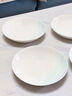 NINE CRANES景德鎮高溫盤(pán)子餐具家用盤(pán)碟高顏值輕奢陶瓷高級感餐盤(pán)4個(gè) 曬單實(shí)拍圖