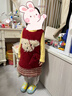 可英 GOWINBABY女童馬甲連衣裙加絨保暖2025秋冬款女寶公主裙女孩卡通紅色背心裙 紅色(包包帶子紅白隨機(jī)發(fā)） 120 （適合身高110cm-120cm） 曬單實(shí)拍圖