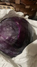 京地達山東新鮮紫甘藍紫 凈重5斤 單顆500g+包菜球起源頭直發(fā)包郵 曬單實(shí)拍圖