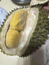 趣嘗鮮貓山王榴蓮馬來西亞D197液氮冷凍凈重3.2-3.6斤/個 曬單實拍圖