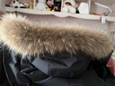 羽絨服毛領(lǐng)真毛單買(mǎi)單賣(mài)毛帽超大貉子狐貍毛真子女帽子帽條通用圍脖 淺色毛寬18厘米長(cháng)70厘米 曬單實(shí)拍圖