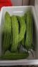 農家現摘新鮮苦瓜瘦身減脂新鮮蔬菜生鮮夏季清火 6斤 帶箱 曬單實(shí)拍圖