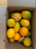 土八鮮江西橙子贛南臍橙新鮮水果贛州臍橙手剝甜橙禮盒 奮進(jìn)橙9-10斤【果徑70-79mm】 曬單實(shí)拍圖
